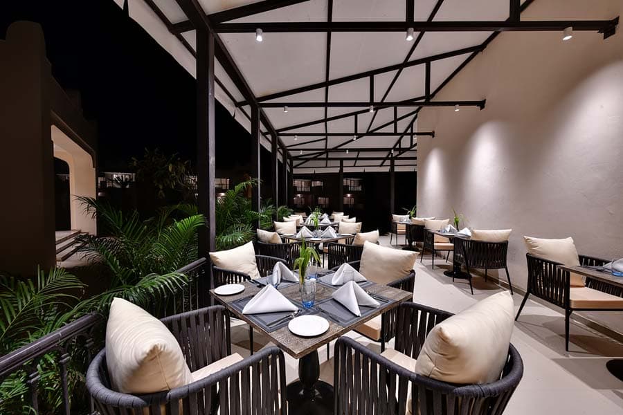 1750749019_12_The-Fern-LRK-Dune14