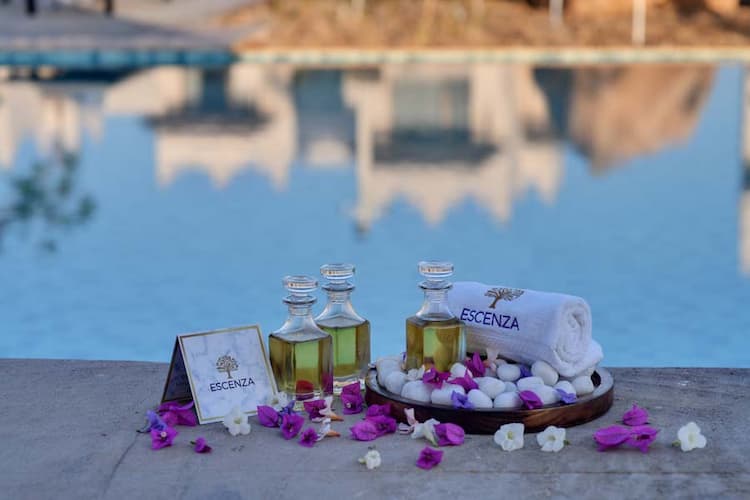 The Fern Sattva Resort: One of the Best Hotels in the Little Rann of Kutch