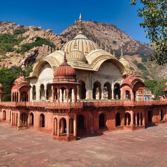 The Fern Alwar Sariska: A Memorable Stay Amid Rajasthan’s Wild Beauty for Guests