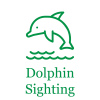 The Fern Dwarka_Dolphin Sighting