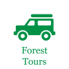 The Fern Polo Forest_Forest Tour